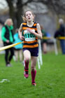 Green 1102, North East Harrier League, Blaydon.